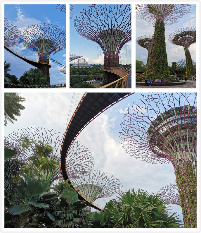 WONDERFUL TRIP TO SINGAPORE AND MALAYSIA OF GAMERGEAR (2)