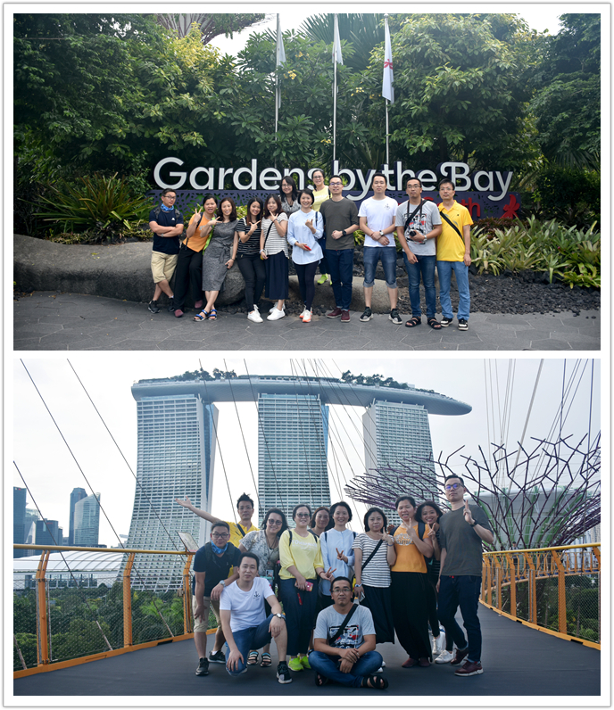 WONDERFUL TRIP TO SINGAPORE AND MALAYSIA OF GAMERGEAR (1)