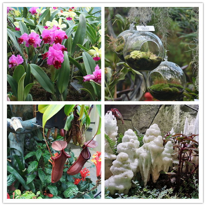 WONDERFUL TRIP TO SINGAPORE AND MALAYSIA OF GAMERGEAR (4)